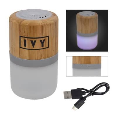 Bamboo Speaker